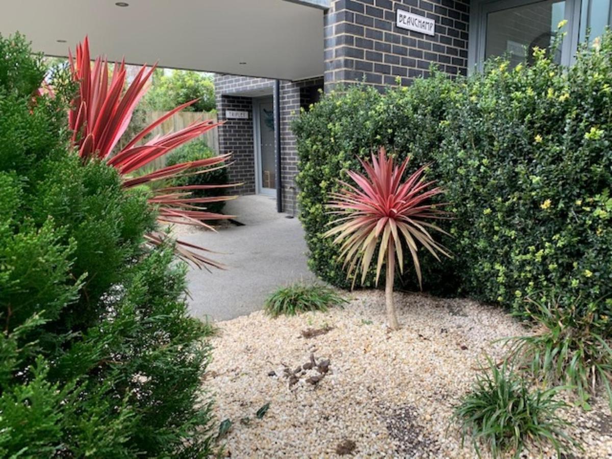 7 Falls Apartments Apollo Bay Extérieur photo
